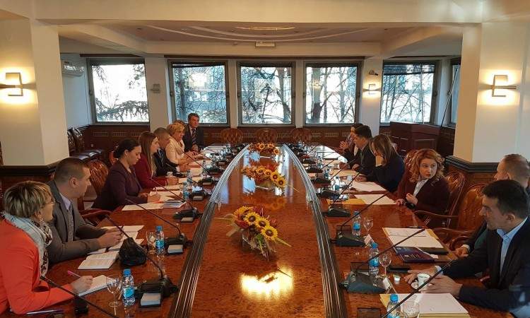 Komisija Narodne skupštine i Vijeća naroda RS-a o nazivu bosanski jezik 